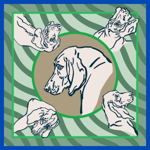 Hound Portrait Scarf Blue Green